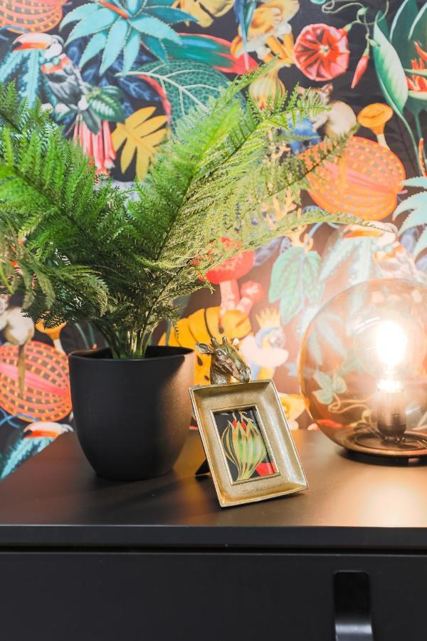 The Dreamart Warehouse Appartement